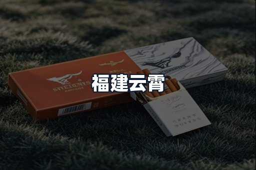 福建云霄
